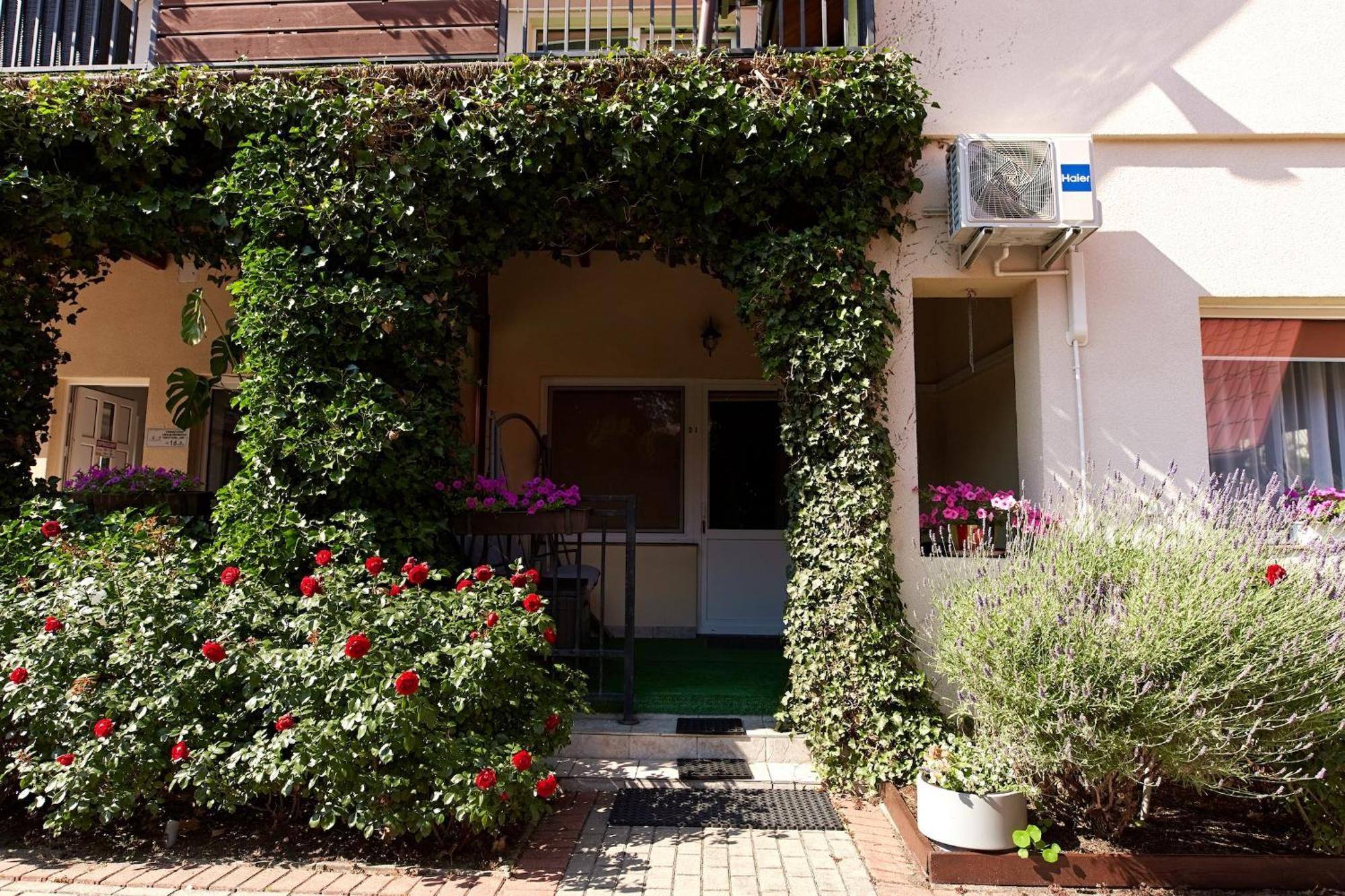 Osrodek Wypoczynkowy Relaks I Apartamenty Łeba Kamer foto